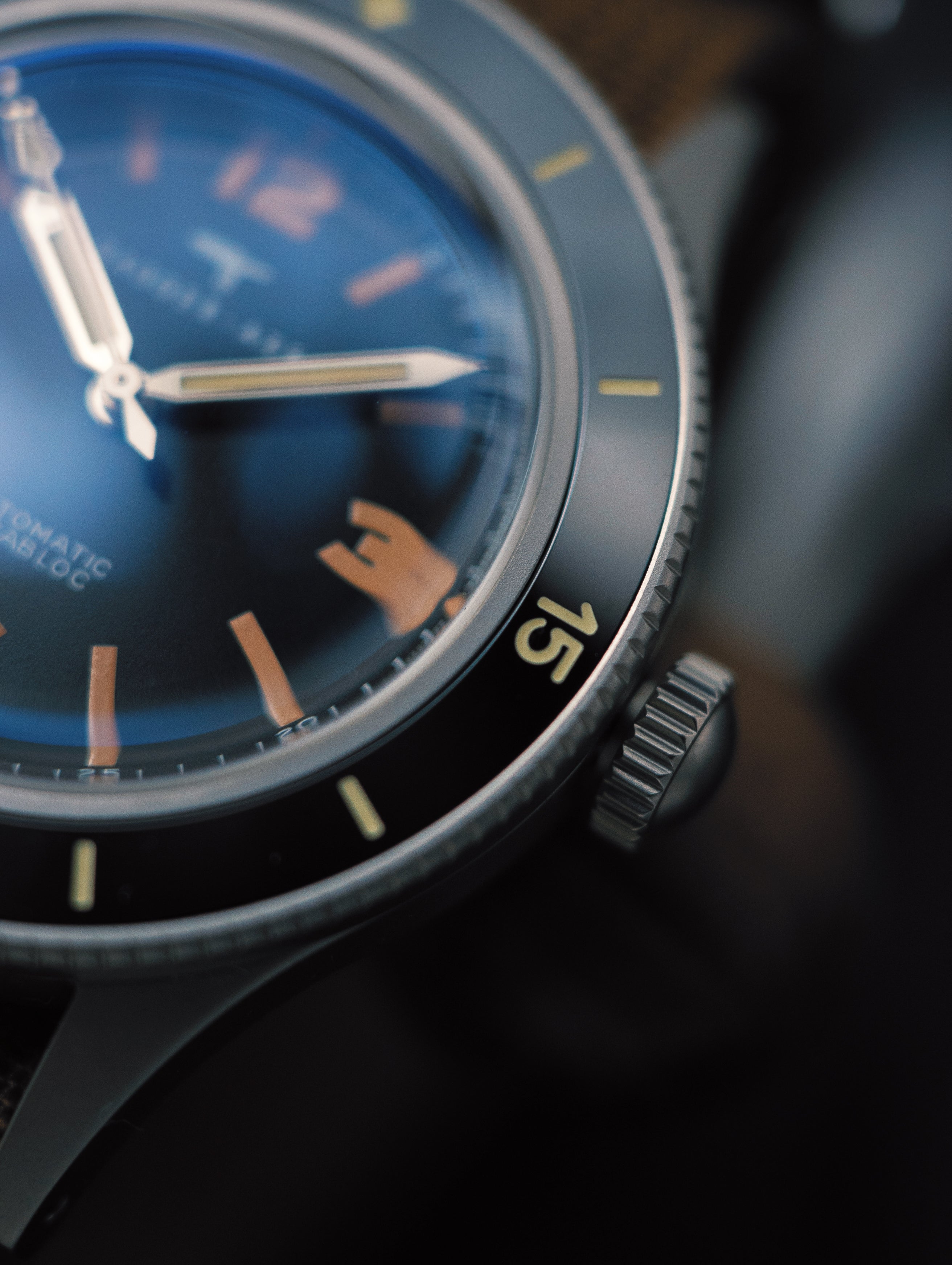 DAGGER-AXE Watch Vintage Fathom Series DG-O03 Diving Watch Men's Watch Mechanical Watch Gift