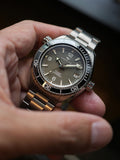 Dagger-axe Men's Diving Watch Titanium Seahorse Grey Disc Sapphire Mechanical Vintage Watch
